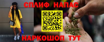 гидра Тверь