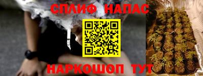 гидра Тверь