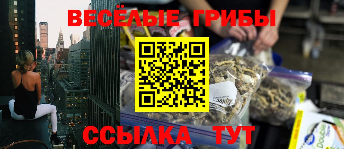 Галлюциногенные грибы GOLDEN TEACHER  купить наркоту  Вход с VPN  Ноябрьск  Псилоцибиновые грибы Cubensis 