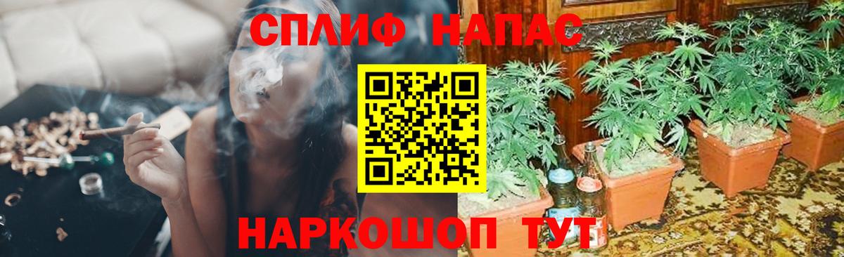 Каннабис Amnesia Ноябрьск